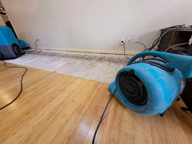 Reliable Basement Flood Cleanup contractor in Russell, KS by Hirex Water Damage