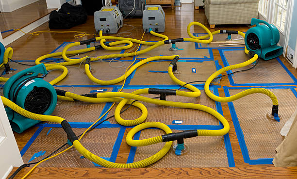 Professional Basement Flood Cleanup technician working in Russell, KS
